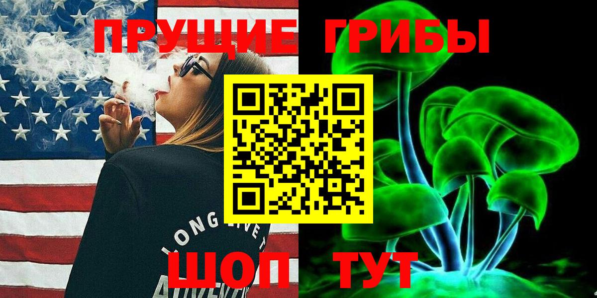 Псилоцибиновые грибы Psilocybe Павлово