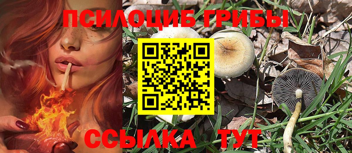 Галлюциногенные грибы Cubensis  Вход с VPN  Галлюциногенные грибы Magic Shrooms  Павлово 